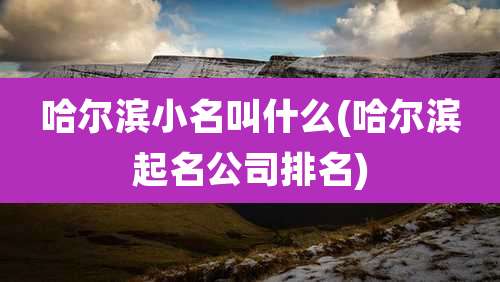哈尔滨小名叫什么(哈尔滨起名公司排名)