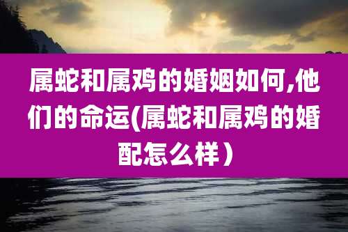 属蛇和属鸡的婚姻如何,他们的命运(属蛇和属鸡的婚配怎么样)