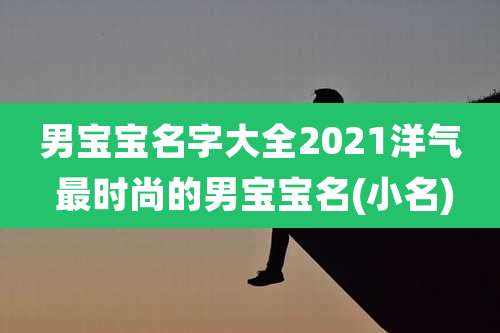 男宝宝名字大全2021洋气 最时尚的男宝宝名(小名)