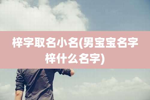 梓字取名小名(男宝宝名字梓什么名字)
