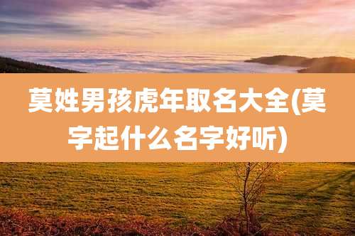 莫姓男孩虎年取名大全(莫字起什么名字好听)
