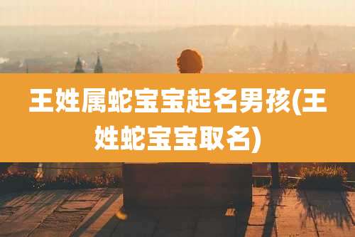 王姓属蛇宝宝起名男孩(王姓蛇宝宝取名)