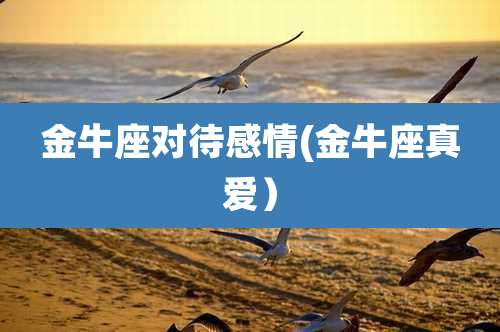 金牛座对待感情(金牛座真爱)