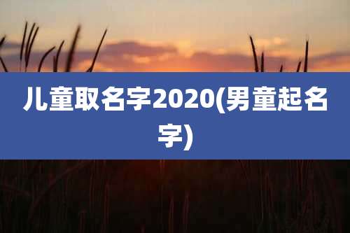 儿童取名字2020(男童起名字)
