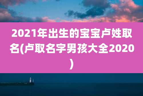 2021年出生的宝宝卢姓取名(卢取名字男孩大全2020)