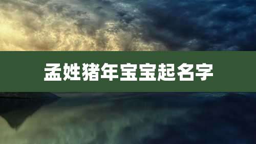 孟姓猪年宝宝起名字