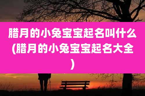 腊月的小兔宝宝起名叫什么(腊月的小兔宝宝起名大全)