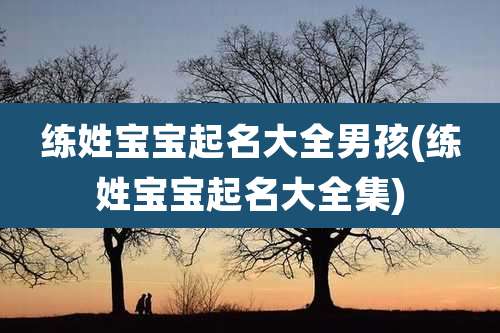 练姓宝宝起名大全男孩(练姓宝宝起名大全集)