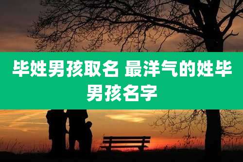 毕姓男孩取名 最洋气的姓毕男孩名字