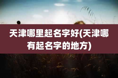 天津哪里起名字好(天津哪有起名字的地方)