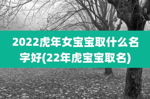 2022虎年女宝宝取什么名字好(22年虎宝宝取名)