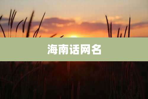 海南话网名