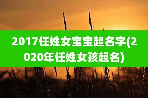 2017任姓女宝宝起名字(2020年任姓女孩起名)
