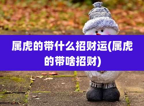 属虎的带什么招财运(属虎的带啥招财)