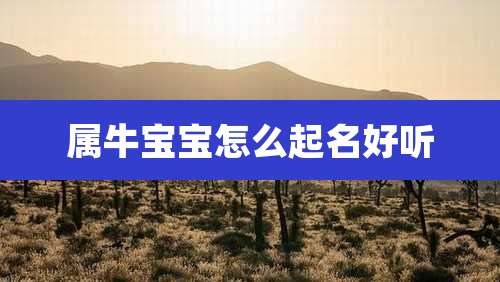 属牛宝宝怎么起名好听