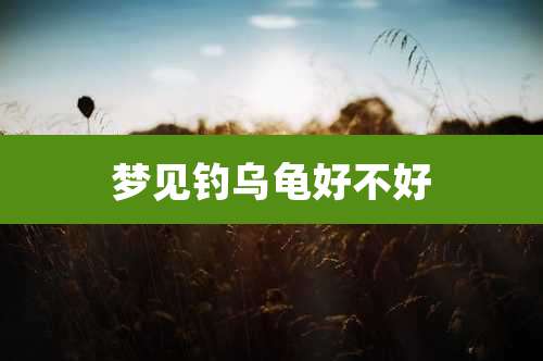 梦见钓乌龟好不好