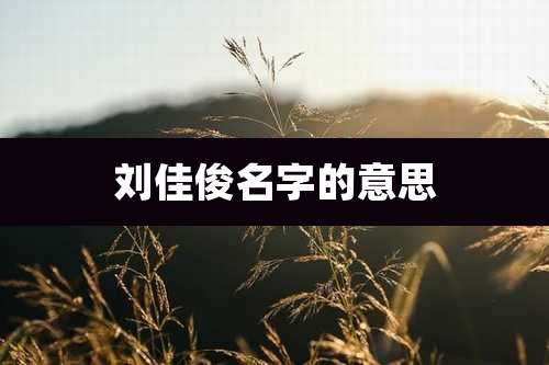 刘佳俊名字的意思