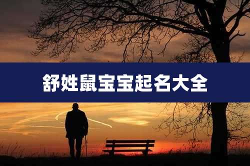 舒姓鼠宝宝起名大全