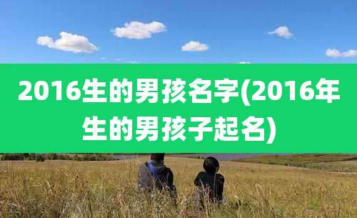 2016生的男孩名字(2016年生的男孩子起名)