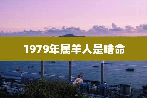 1979年属羊人是啥命