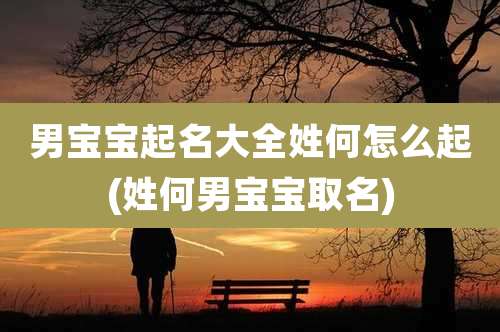 男宝宝起名大全姓何怎么起(姓何男宝宝取名)