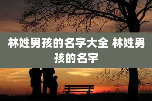 林姓男孩的名字大全 林姓男孩的名字