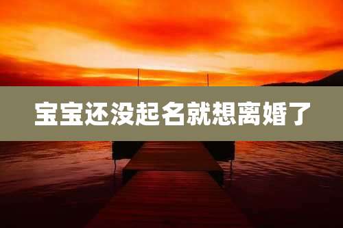 宝宝还没起名就想离婚了