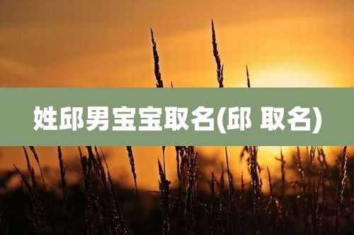 姓邱男宝宝取名(邱 取名)