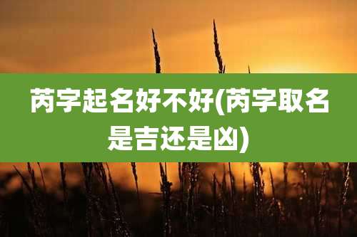 芮字起名好不好(芮字取名是吉还是凶)