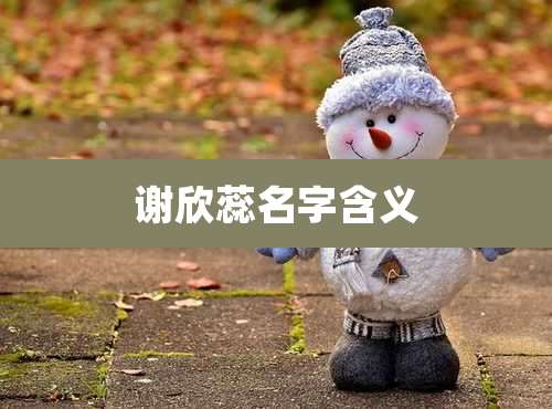 谢欣蕊名字含义