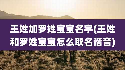 王姓加罗姓宝宝名字(王姓和罗姓宝宝怎么取名谐音)
