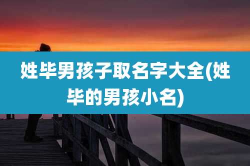 姓毕男孩子取名字大全(姓毕的男孩小名)