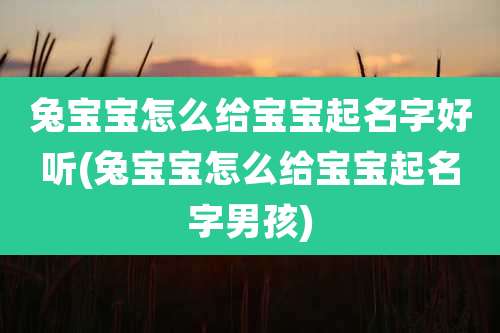 兔宝宝怎么给宝宝起名字好听(兔宝宝怎么给宝宝起名字男孩)