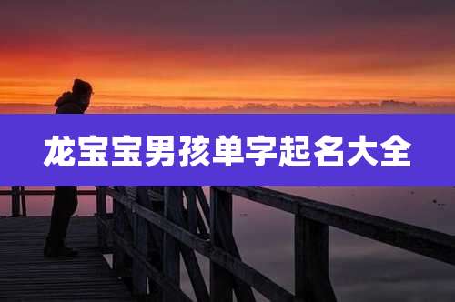 龙宝宝男孩单字起名大全