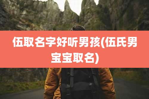 伍取名字好听男孩(伍氏男宝宝取名)