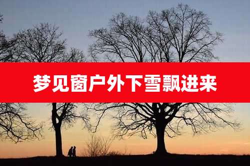 梦见窗户外下雪飘进来