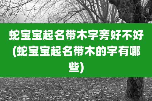 蛇宝宝起名带木字旁好不好(蛇宝宝起名带木的字有哪些)