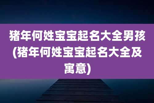 猪年何姓宝宝起名大全男孩(猪年何姓宝宝起名大全及寓意)
