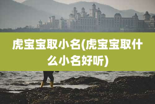 虎宝宝取小名(虎宝宝取什么小名好听)