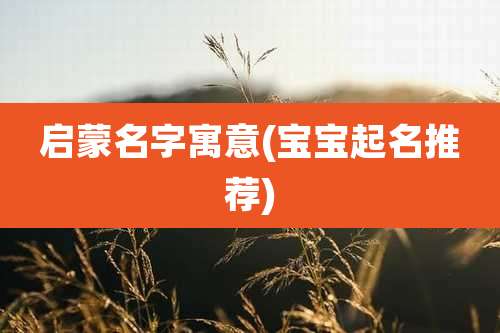 启蒙名字寓意(宝宝起名推荐)