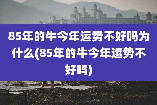 85年的牛今年运势不好吗为什么(85年的牛今年运势不好吗)