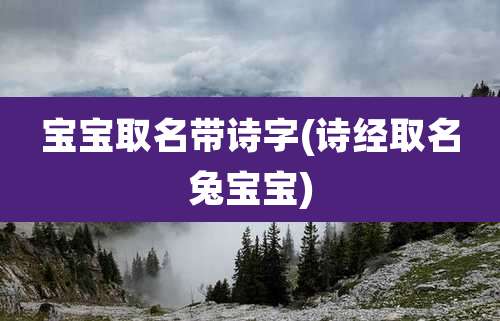 宝宝取名带诗字(诗经取名兔宝宝)