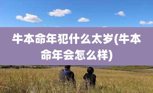 牛本命年犯什么太岁(牛本命年会怎么样)