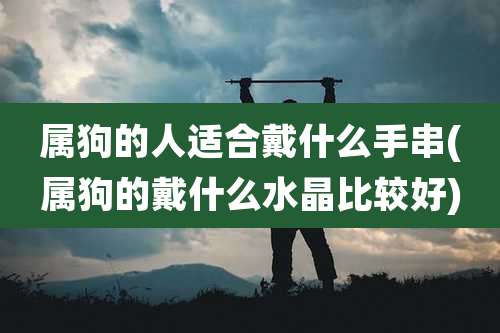 属狗的人适合戴什么手串(属狗的戴什么水晶比较好)