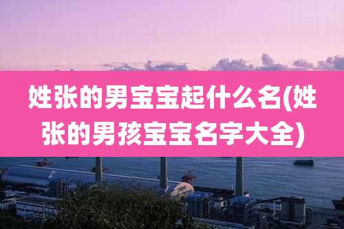 姓张的男宝宝起什么名(姓张的男孩宝宝名字大全)