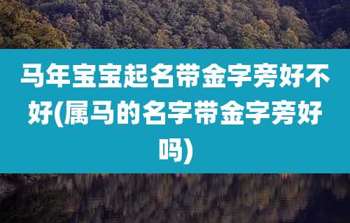 马年宝宝起名带金字旁好不好(属马的名字带金字旁好吗)