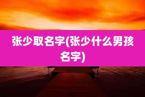 张少取名字(张少什么男孩名字)