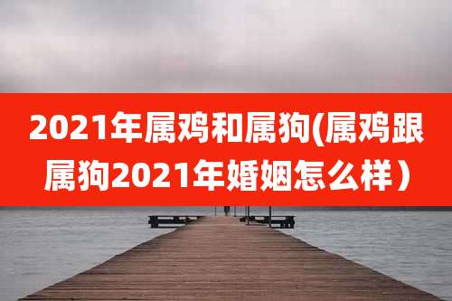2021年属鸡和属狗(属鸡跟属狗2021年婚姻怎么样)