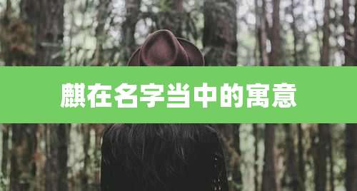 麒在名字当中的寓意