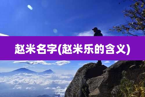 赵米名字(赵米乐的含义)